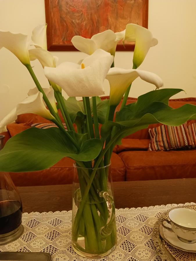 Casa Di Nonna Διαμέρισμα Χανιά Εξωτερικό φωτογραφία